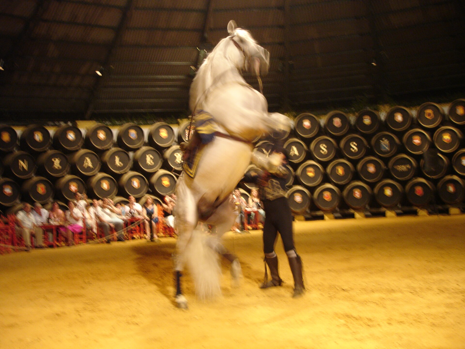 El Caballo de Pura Raza Española y Jerez
