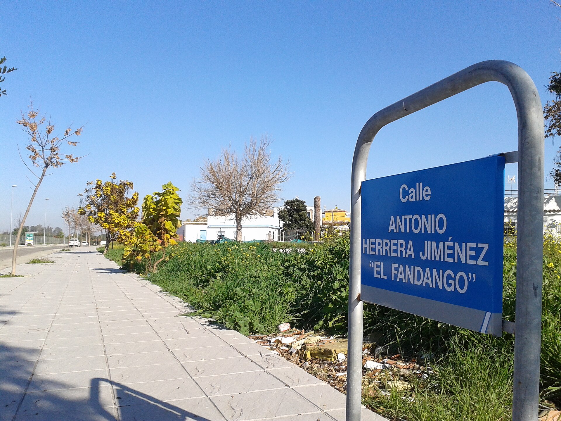 El Fandango En El Flamenco Jerezano